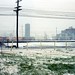 Russell Mcpherson Photo 26