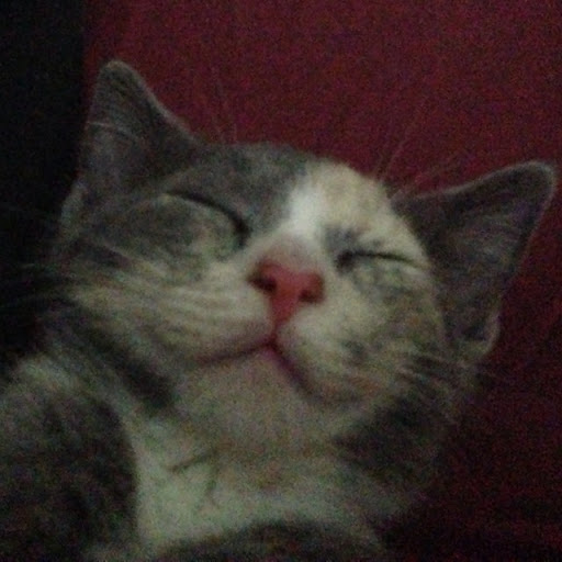 Danny Stone Photo 26