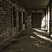 Patricia Augustine Photo 12