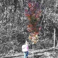 Janet Howland Photo 8