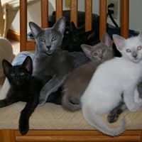 Debra Doyle Photo 19