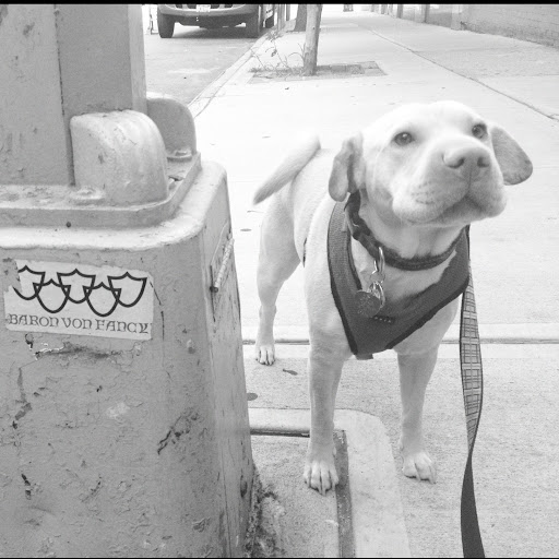 Phillip Stewart Photo 39