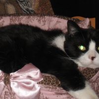 Linda Pease Photo 33