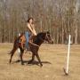 Christina Brady Photo 37