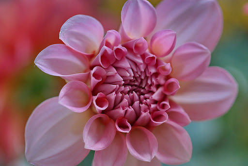 Jennifer Lindell Photo 7