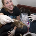 Julie Gross Photo 9