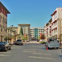 Crystal Levan Photo 4