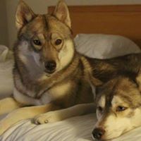 Michelle Bigelow Photo 8