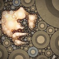 James Kearley Photo 3