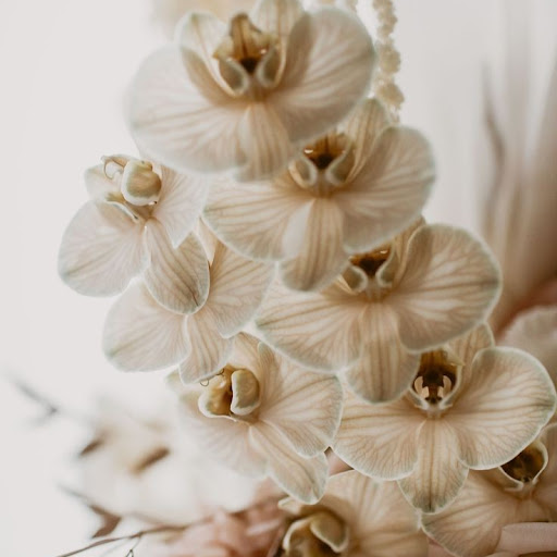 Julie Meredith Photo 36 Julie Meredith Photo 36