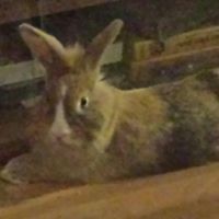 Stephanie Dorn Photo 8