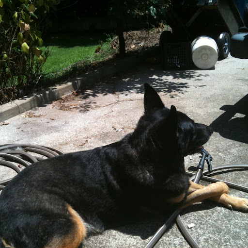 Elaine Mcdonald Photo 13