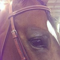 Cassandra Warner Photo 14