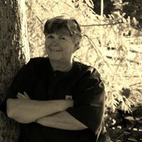 Cindy Mccain Photo 16