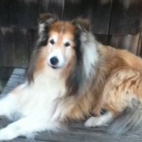 Casey Frazier Photo 15