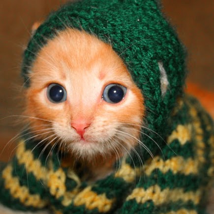 Helena Hardy Photo 10