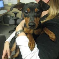 Catherine Foster Photo 41 Catherine Foster Photo 41