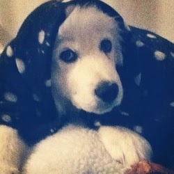 Rachel Singh Photo 9