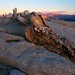 Jeffery Adams Photo 36