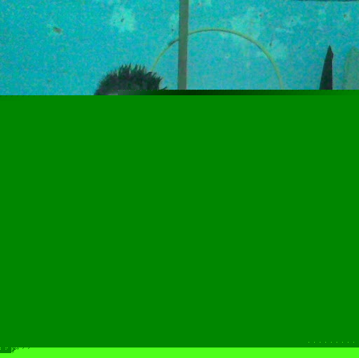 Manuel Villeda Photo 24