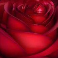 Muhammad Syed Photo 49