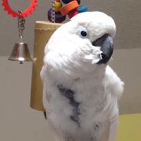 Robyn Mcmillan Photo 14