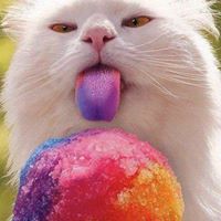 Alexis Roberson Photo 8