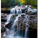 James Vogel Photo 32
