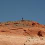 Steven Halverson Photo 20