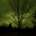 Joanne Fields Photo 34