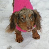 Elizabeth Krueger Photo 30