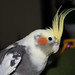 Robert Spiker Photo 9