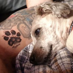 Joseph Cole Photo 53