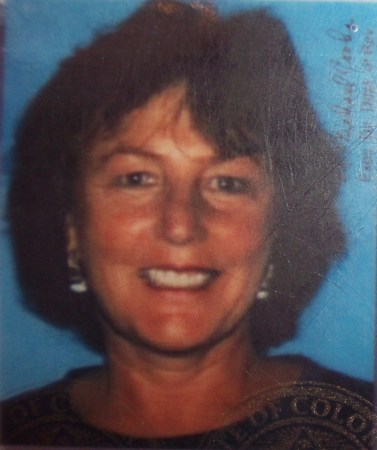 Vicki Allen Photo 27