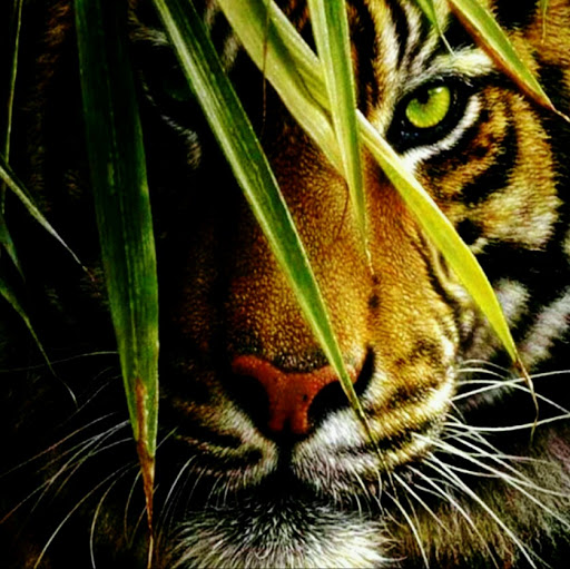 Michelle Healey Photo 6