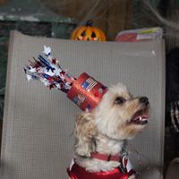 Victoria Duckworth Photo 6