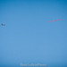 Austin Scott Photo 15