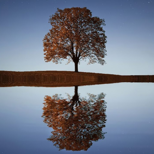 Joshua Greenberg Photo 47