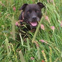 Julia Elliott Photo 32