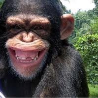 Harry Covert Photo 36