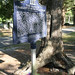 Catherine Pyle Photo 8