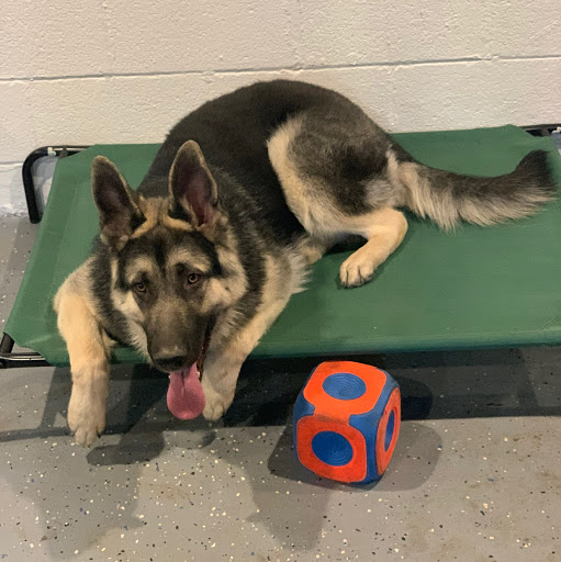 Rodolfo Duran Photo 8