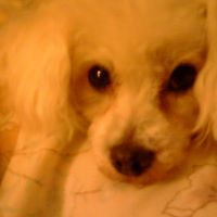 Sherry Stewart Photo 22