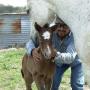 Ricardo Aguirre Photo 34