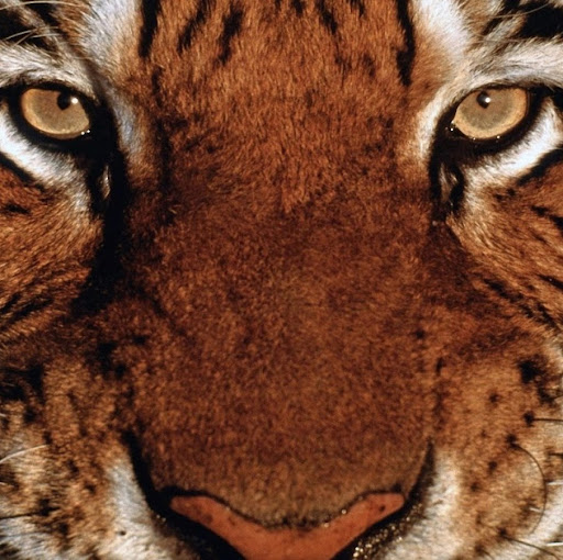 Christopher Bull Photo 17 Christopher Bull Photo 17