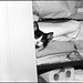 Thomas Case Photo 40