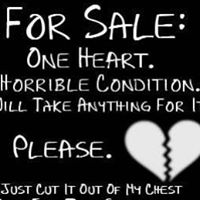 Cynthia Singer Photo 18