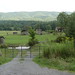 Virginia Thompson Photo 31
