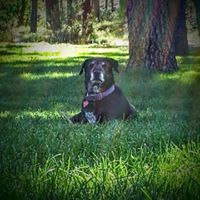 Jeffrey Graham Photo 20