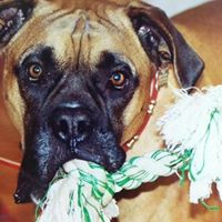 Michelle Reardon Photo 15